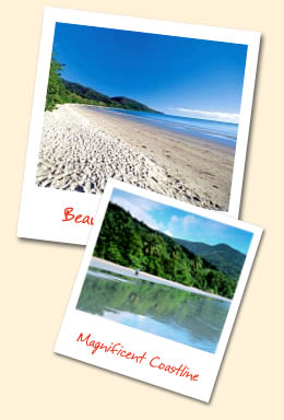 Magnificent Coastline