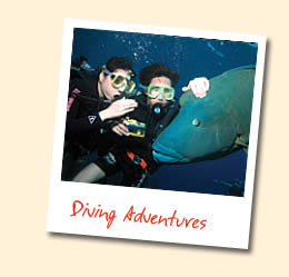 Dving Adventures