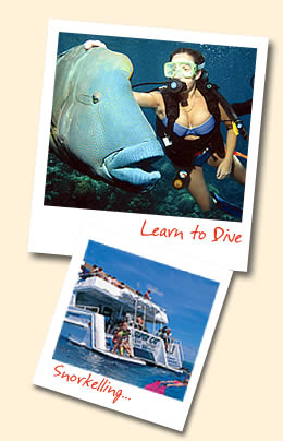 Learn to Dive