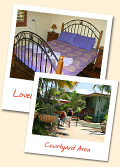 Clean and light rooms at Travellers Oasis, Cairns backpacker accommodation.