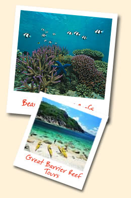 Great Barrier Reef snorelling and diving adventures