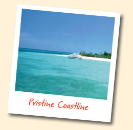 Pristine Coastline