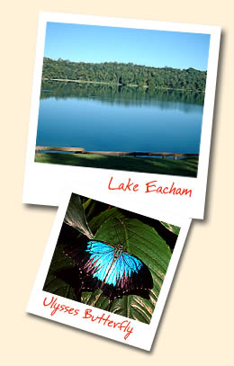 Lake Eachan - Ulysses Butterfly